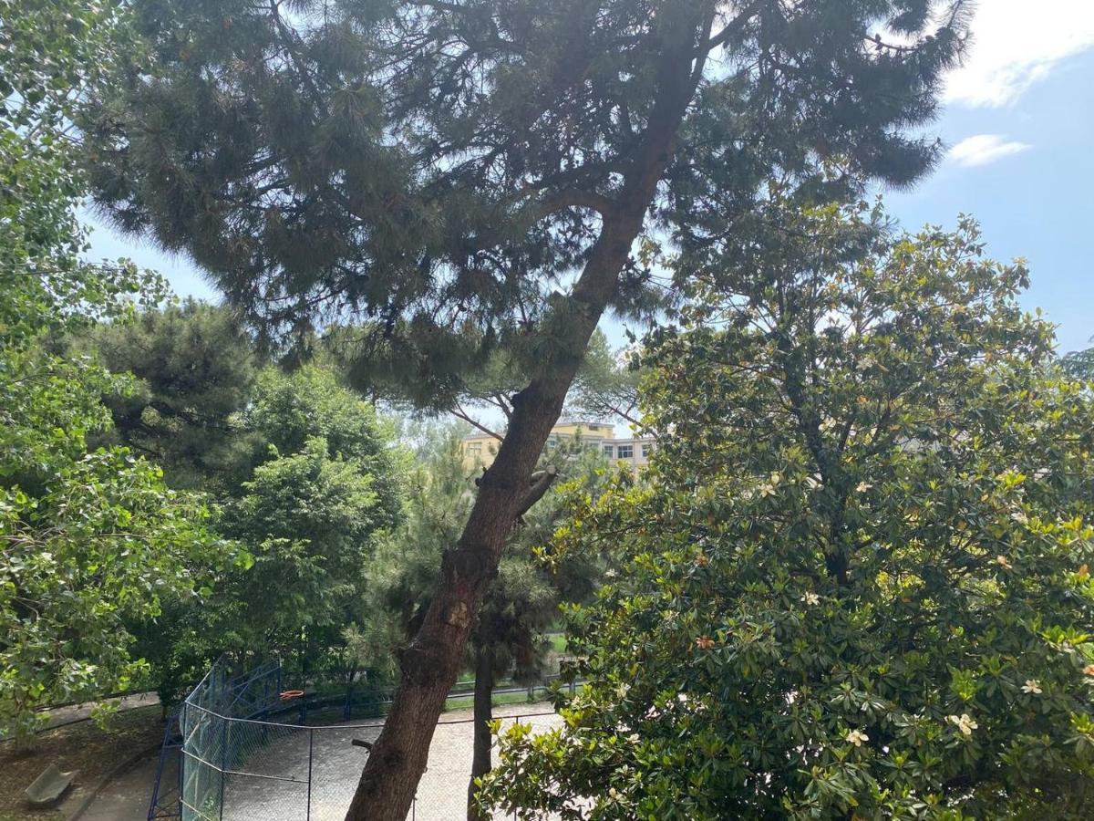 Oasi Verde 호텔 나폴리 외부 사진
